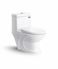 Bàn cầu một khối V39M