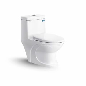 Bàn cầu một khối V39M