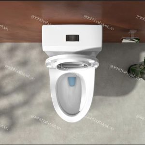 Bàn cầu một khối V45M