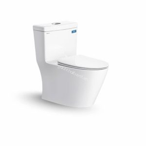 Bàn cầu một khối V62