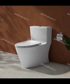 Bàn cầu một khối V62