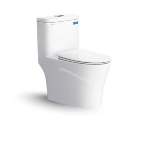 Bàn cầu một khối V63