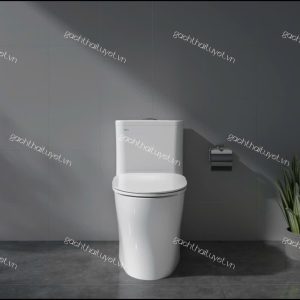 Bàn cầu một khối V63