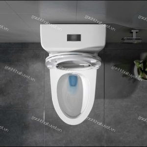 Bàn cầu một khối V63