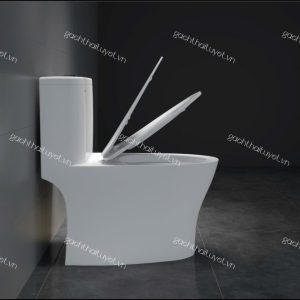 Bàn cầu một khối V63