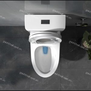 Bàn cầu một khối V64