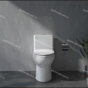 Bàn cầu một khối V64
