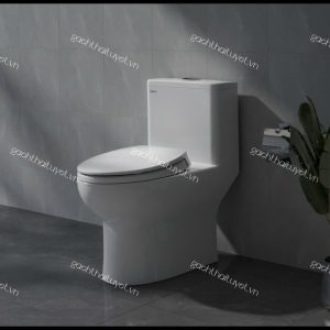 Bàn cầu một khối V64