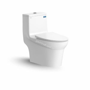 Bàn cầu một khối V65