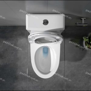 Bàn cầu một khối V65
