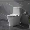 Bàn cầu một khối V65