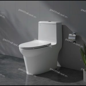 Bàn cầu một khối V65