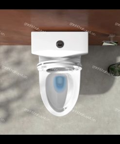 Bàn cầu một khối V68