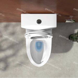 Bàn cầu một khối V68