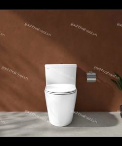 Bàn cầu một khối V68