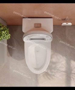 Bàn cầu một khối V72