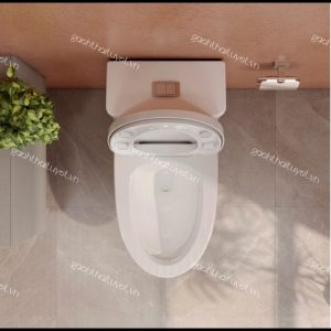 Bàn cầu một khối V72