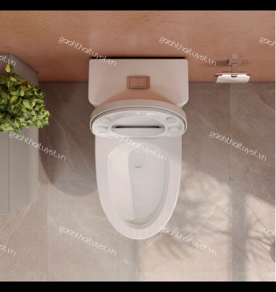Bàn cầu một khối V72