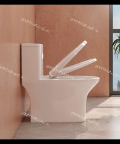 Bàn cầu một khối V72