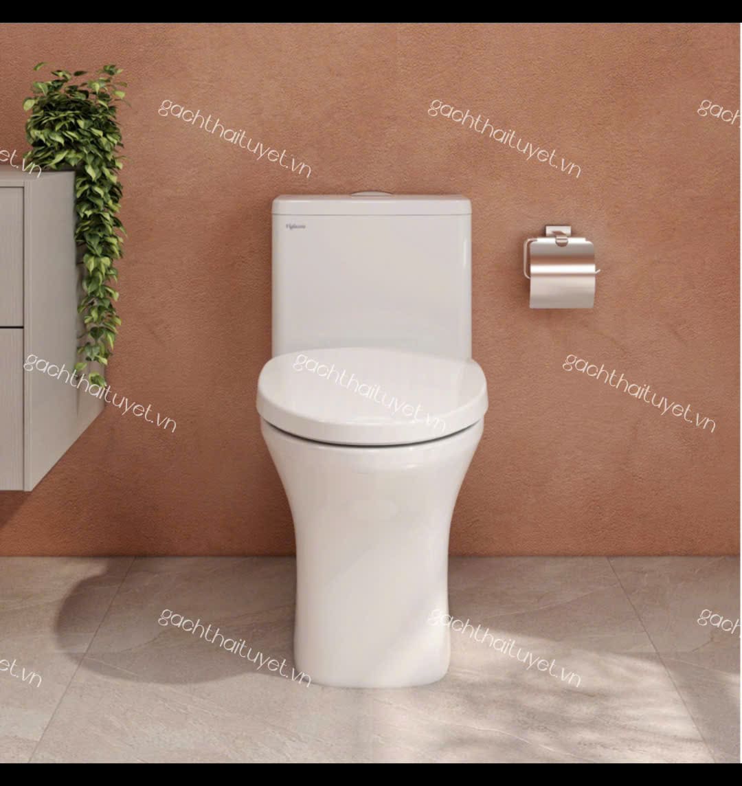 Bàn cầu một khối V72