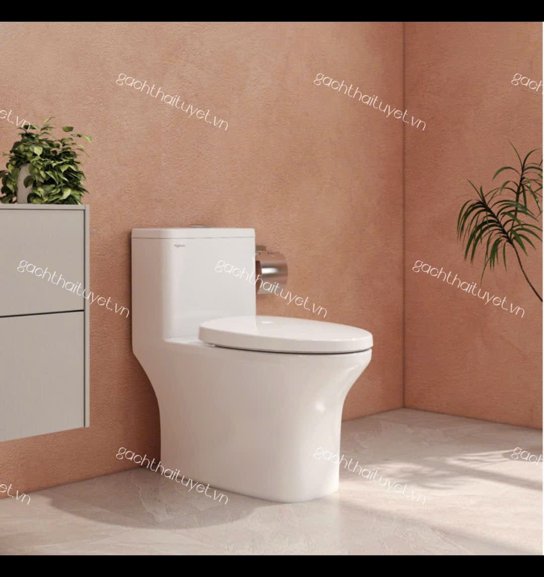 Bàn cầu một khối V72