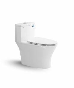 Bàn cầu một khối V803