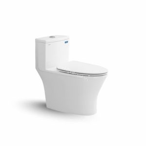 Bàn cầu một khối V803