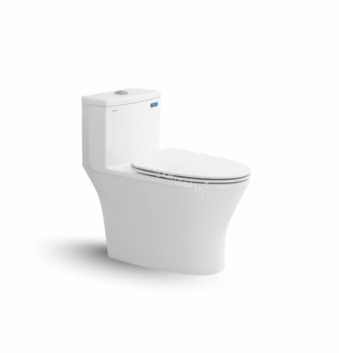 Bàn cầu một khối V803