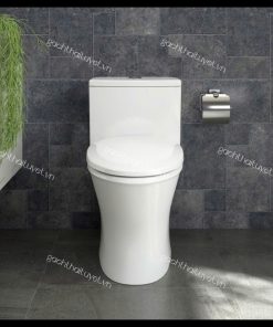 Bàn cầu một khối V803