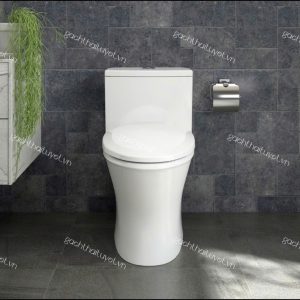 Bàn cầu một khối V803