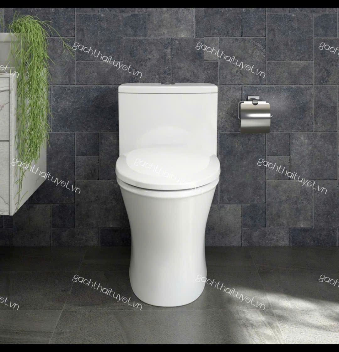 Bàn cầu một khối V803