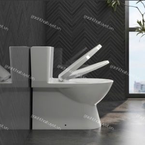 Bàn cầu một khối V808