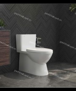 Bàn cầu một khối V808