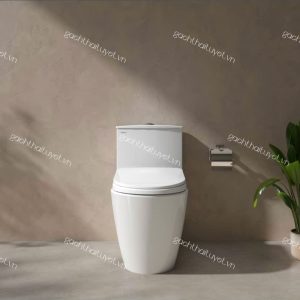 Bàn cầu một khối V816