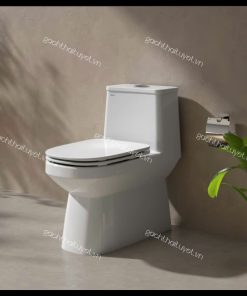 Bàn cầu một khối V816