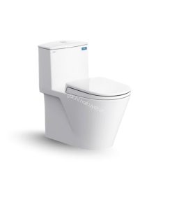 Bàn cầu một khối V817