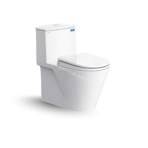 Bàn cầu một khối V817