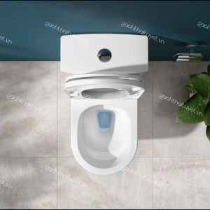 Bàn cầu một khối V817