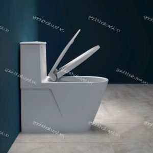 Bàn cầu một khối V817