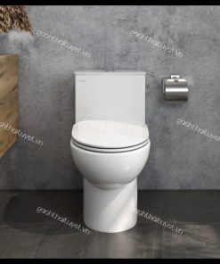 Bàn cầu một khối V819