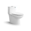 Bàn cầu một khối V819