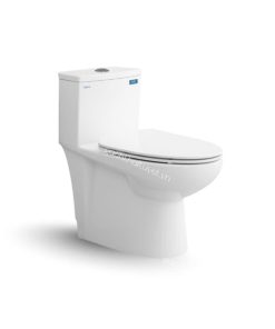 Bàn cầu một khối V819