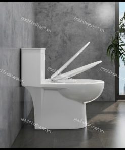 Bàn cầu một khối V819