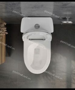 Bàn cầu một khối V819