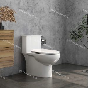 Bàn cầu một khối V819
