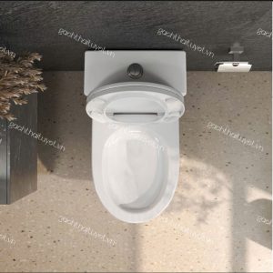 Bàn cầu một khối V823