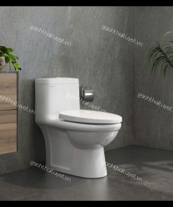 Bàn cầu một khối V825