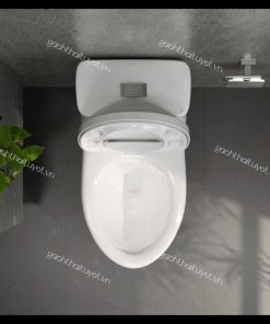 Bàn cầu một khối V825