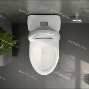 Bàn cầu một khối V825