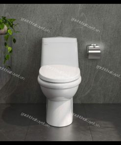 Bàn cầu một khối V825